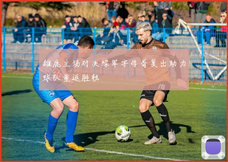 雄鹿主场对决绿军字母哥复出助力球队重返胜轨