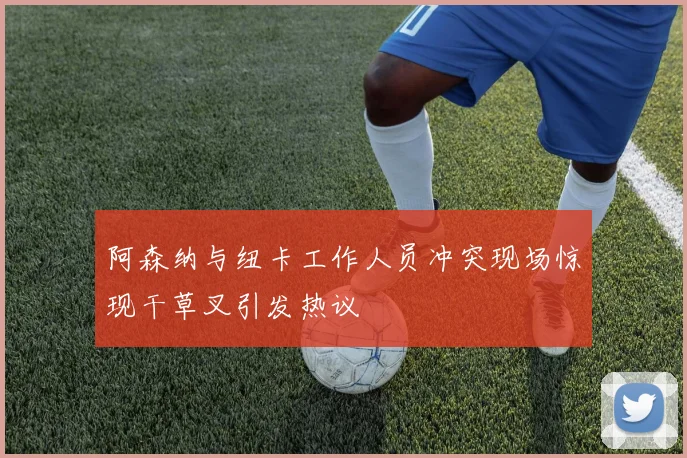 阿森纳与纽卡工作人员冲突现场惊现干草叉引发热议